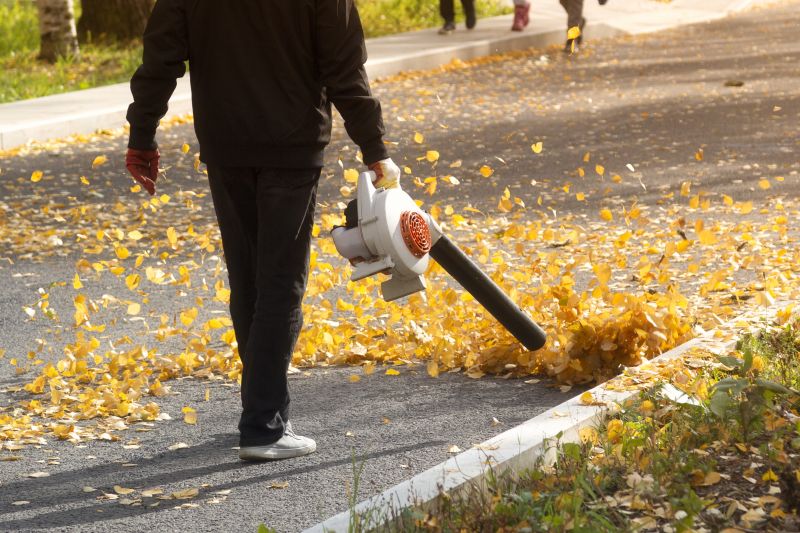 Leaf Blowing Strategies