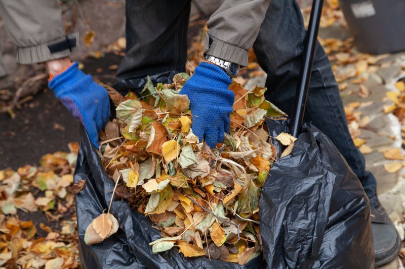Collecting Fallen Leaves