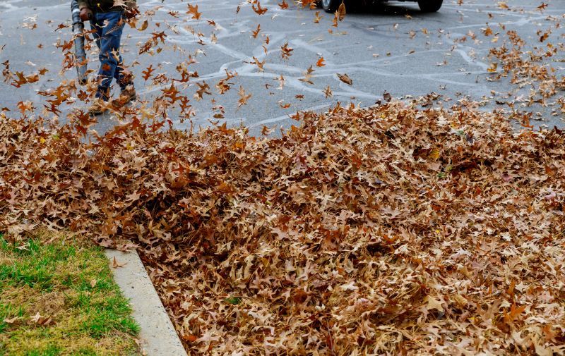 Efficient Leaf Removal